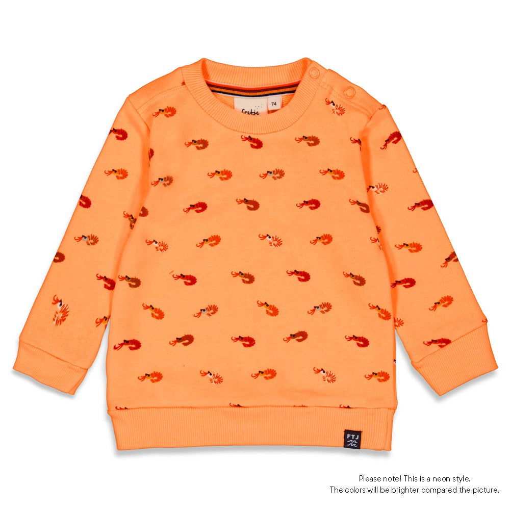 Feetje Sweater AOP - Captain Ortega