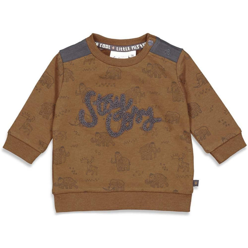 Feetje Sweater AOP - Cool Adventure - Bubbles & Bo