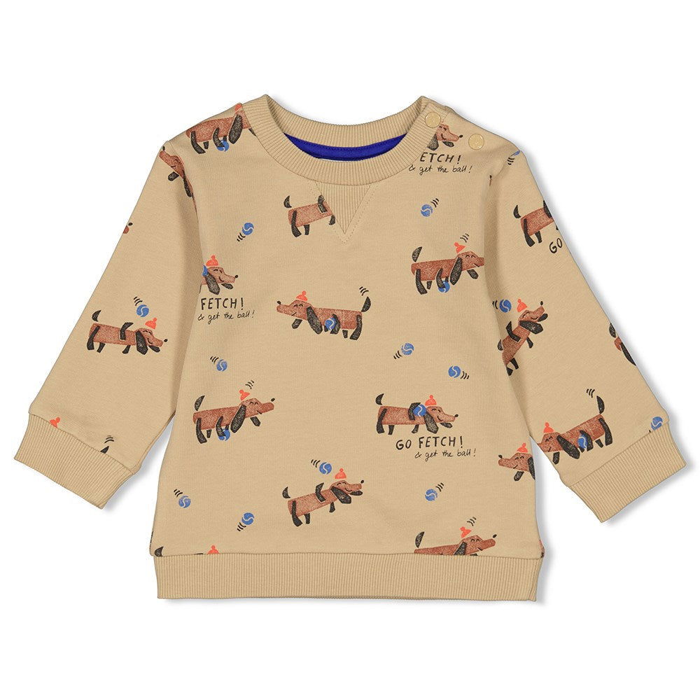 Feetje Sweater AOP - Go Fetch