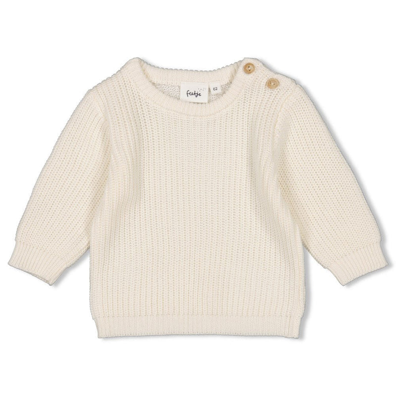 Feetje Sweater gebreid - Chameleon - Bubbles & Bo