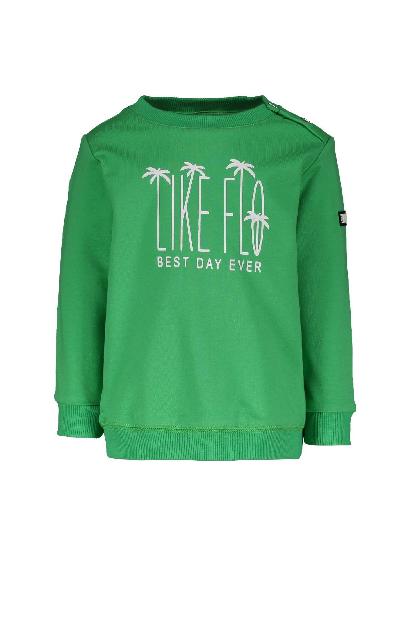Flo baby boys sweater divers