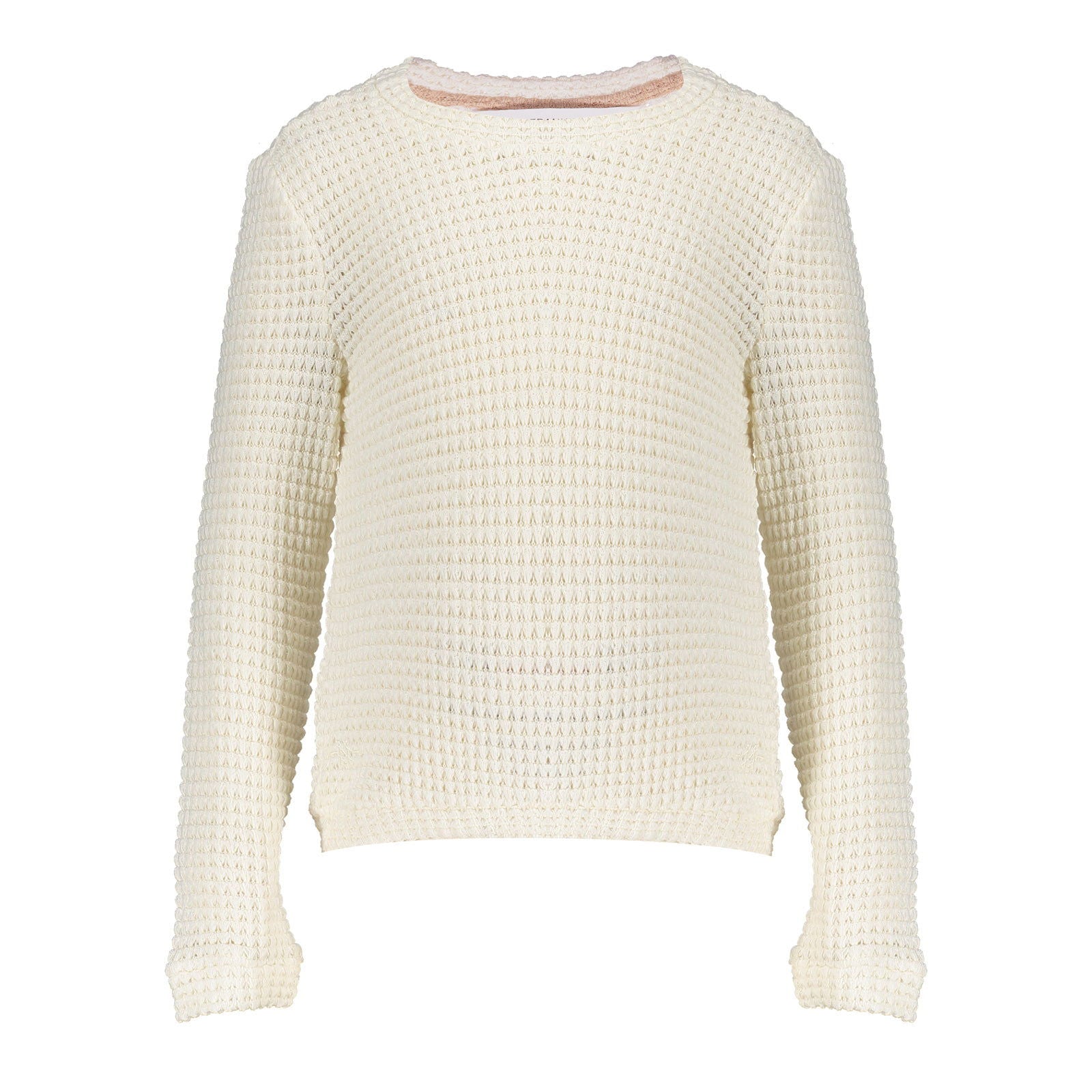 Frankie & Friends Beagle Sweater