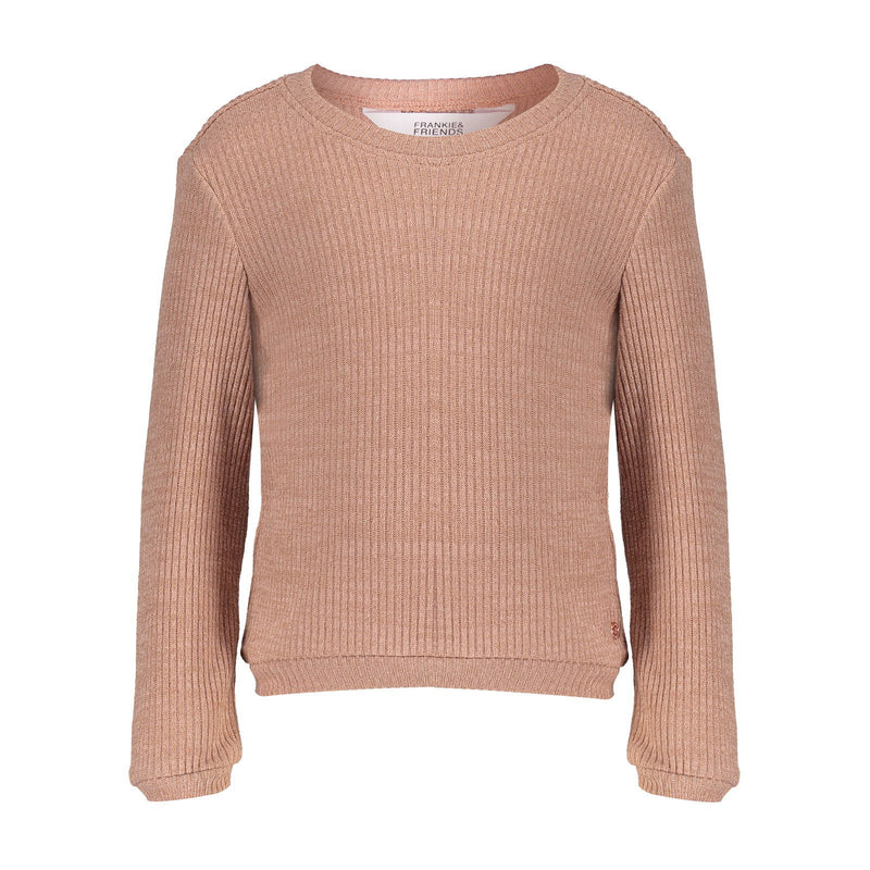 Frankie & Friends Dolphin Sweater - Bubbles & Bo