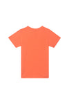 Someone T-SHIRT GRAFIT-SB-02-B