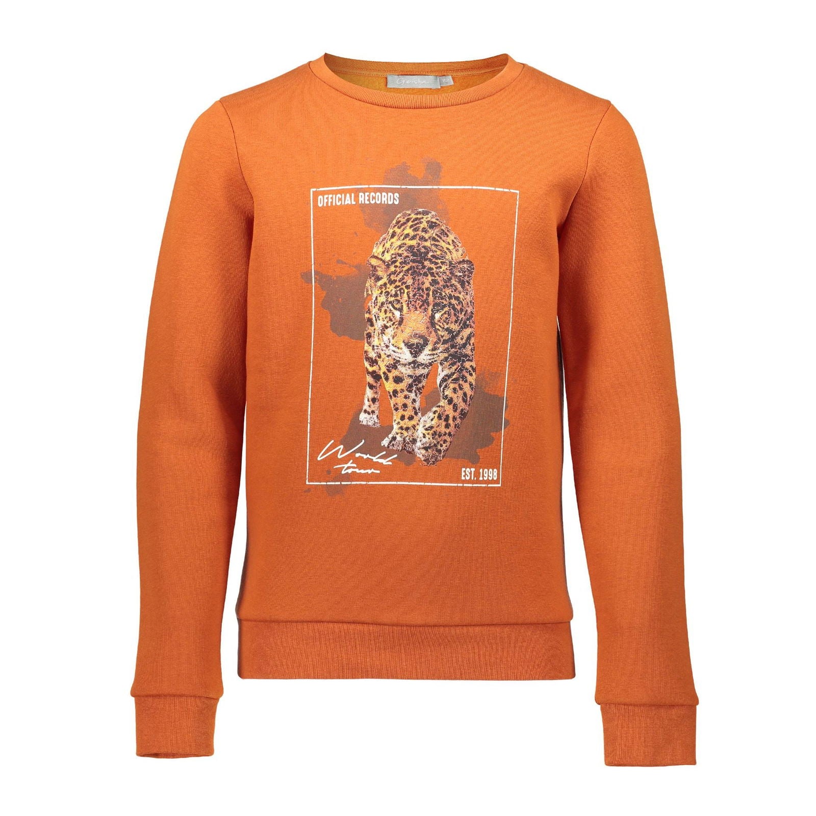 Geisha Sweat "tiger" round neck l/s - Bubbles & Bo