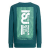 Indian Blue Jeans Sweater Indian Blue Jeans