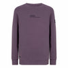 Jongens Sweater INDN jeans united van Indian Blue Jeans in de kleur Dust Purple in maat 176.