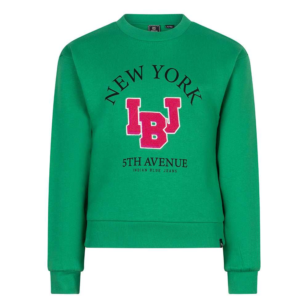 Indian Blue Jeans Sweater Embroidery IBJ