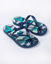 Ipanema Temas Boys