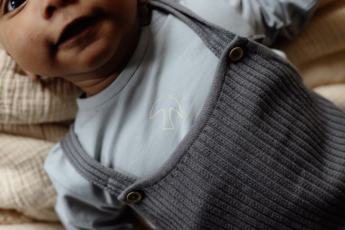 Jongens Longsleeve LARS van Levv Newborn in de kleur Blue Grey in maat 74.