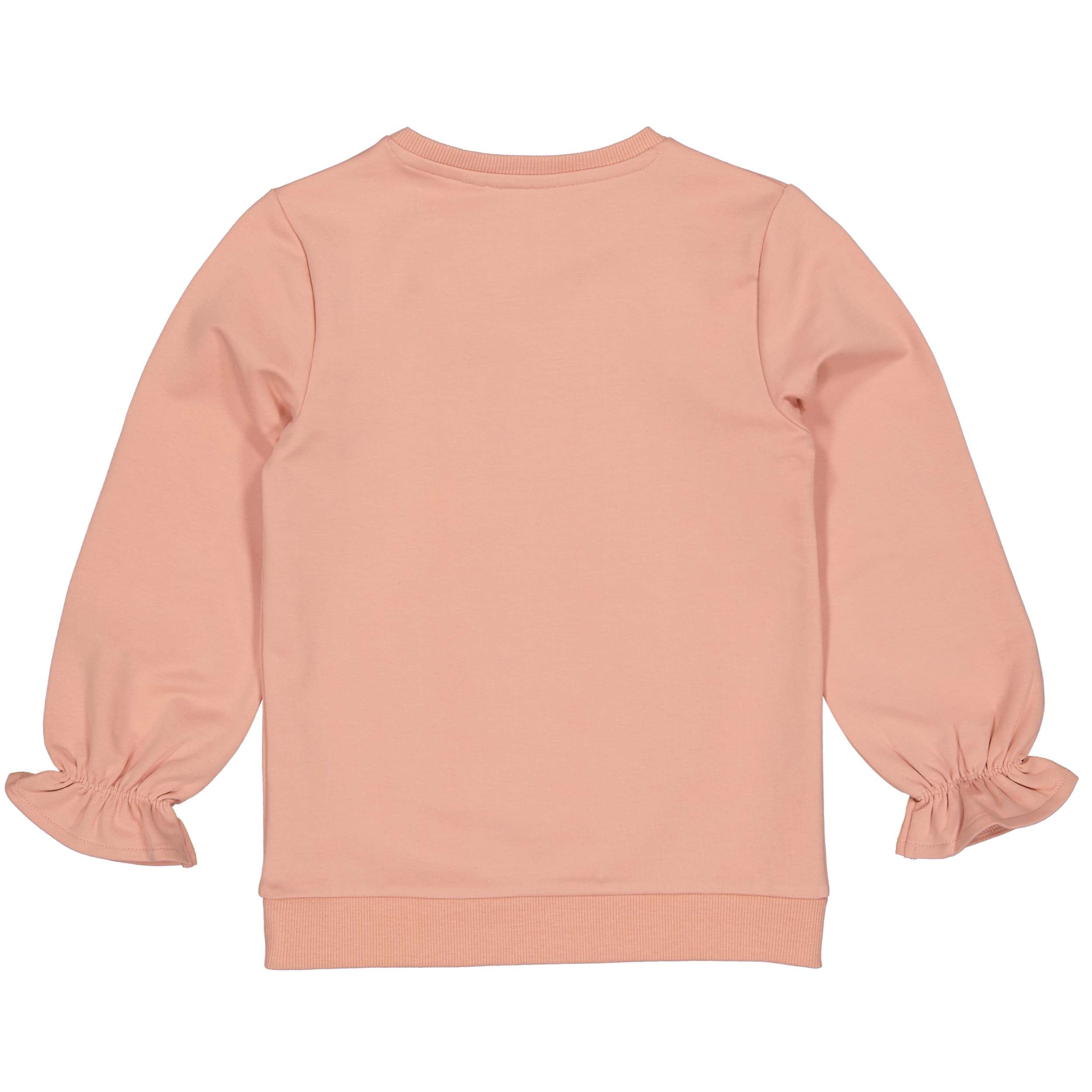 Meisjes SWEATER SIEN van Little Levv in de kleur Old Pink in maat 128.