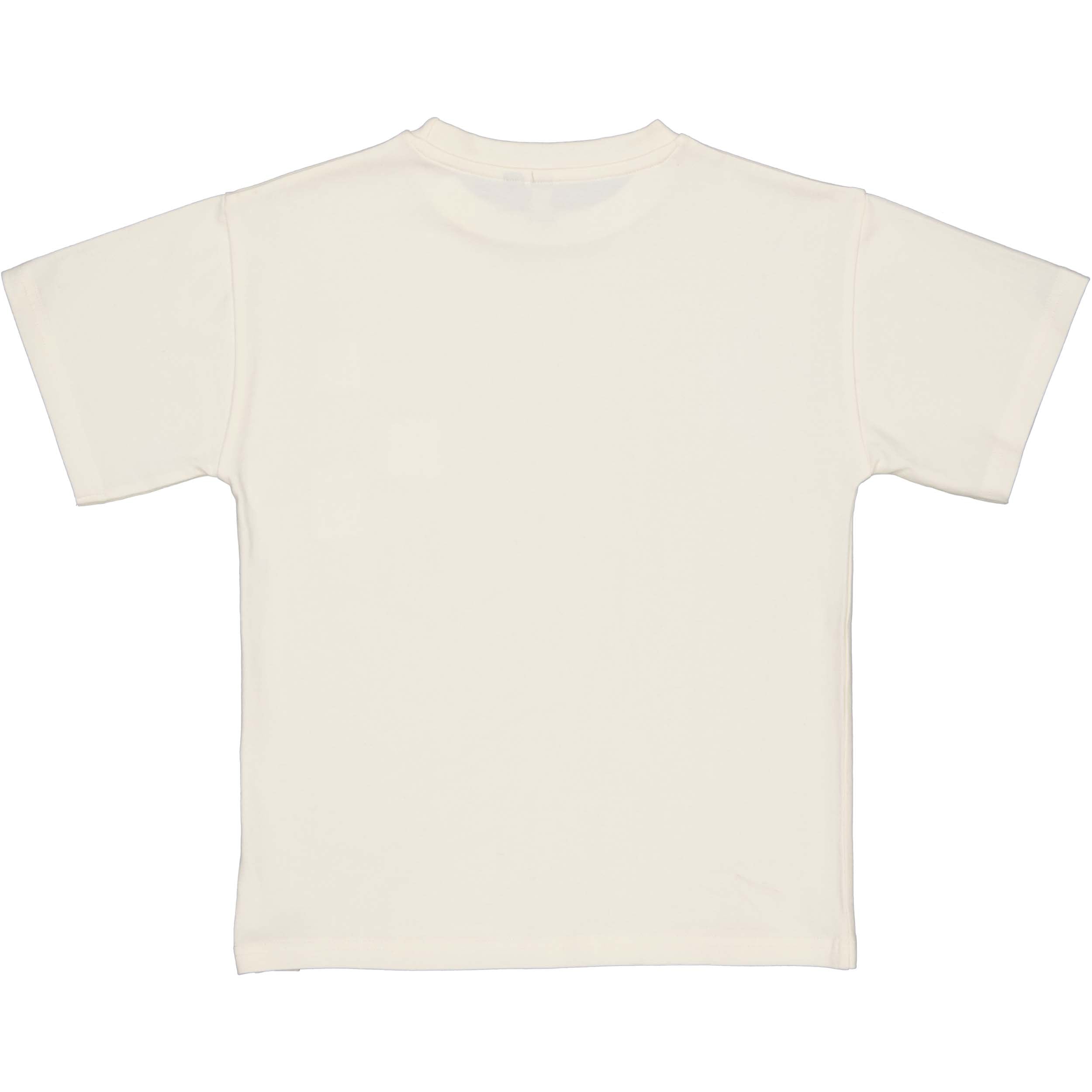 Jongens T-Shirt BANU van Little Levv in de kleur White Cream in maat 128.