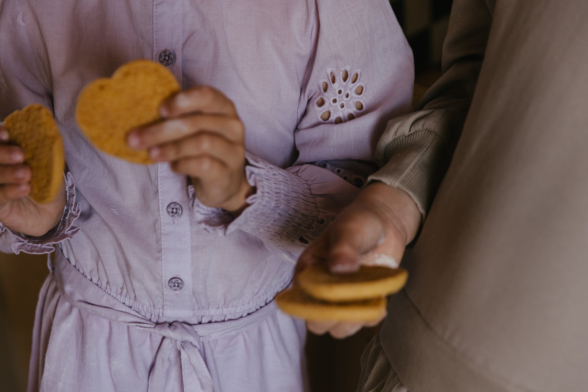 Little Levv Dress LS BAUKJE Lilac