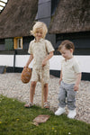 Jongens Polo AOP BERTUS van Little Levv in de kleur AOP Sand Graphic in maat 128.
