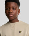 Jongens Crew Neck Sweatshirt van Lyle & Scott in de kleur Z151 Stone in maat 170-176.