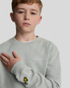 Jongens Script Crew Neck Sweatshirt van Lyle & Scott in de kleur X570 Grey Mirage in maat 170-176.