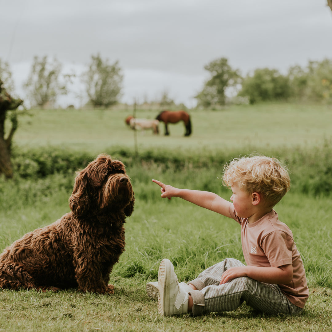 Jongens T-shirt van Koko Noko in de kleur Dusty pink in maat 128.