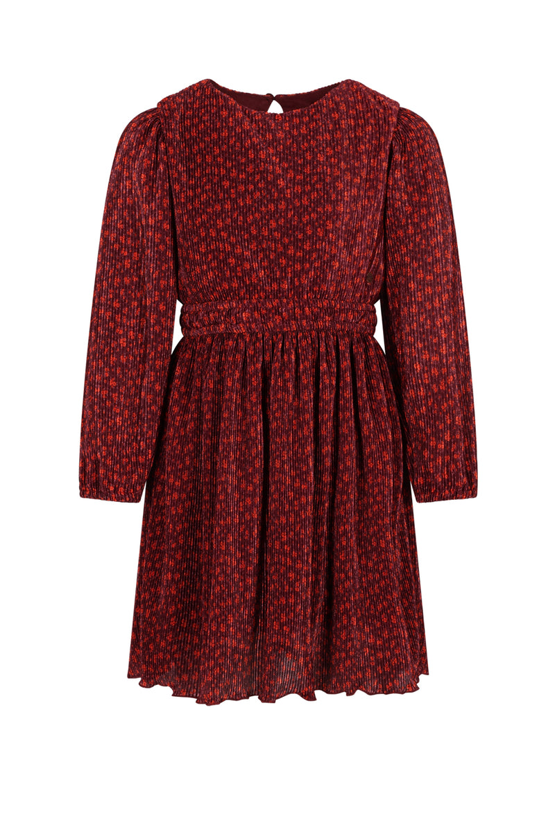 NoNo Mamai Autumn Flower Plissee Dress
