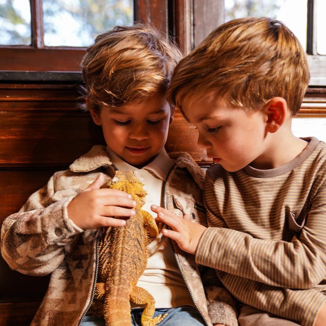 Jongens Shirt ls van Koko Noko in de kleur Beige in maat 128.