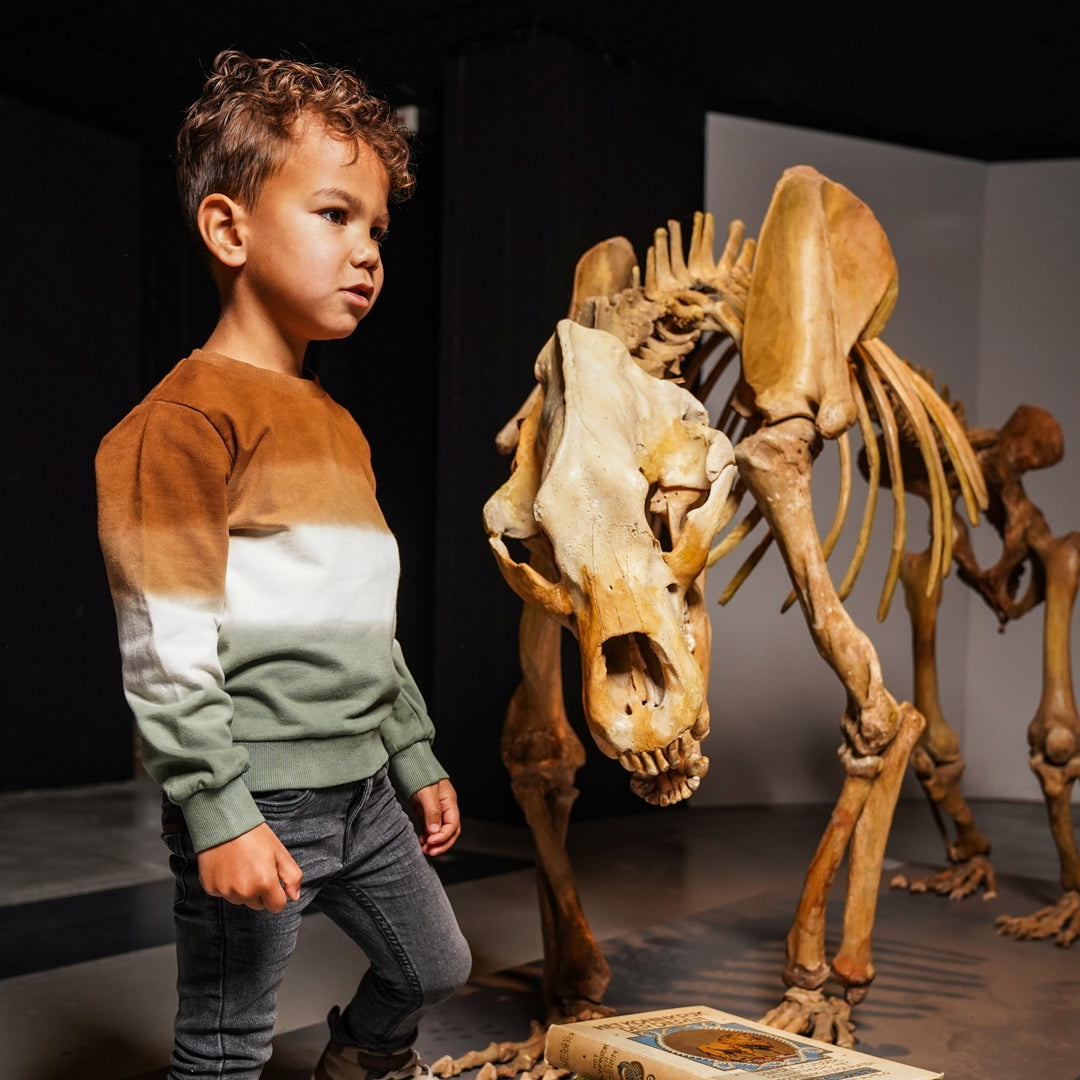 Jongens Sweater with crewneck van Koko Noko in de kleur Dark brown in maat 128.