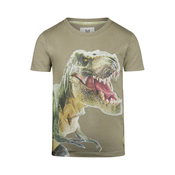 Jongens T-shirt ss van Koko Noko in de kleur Faded green in maat 128.