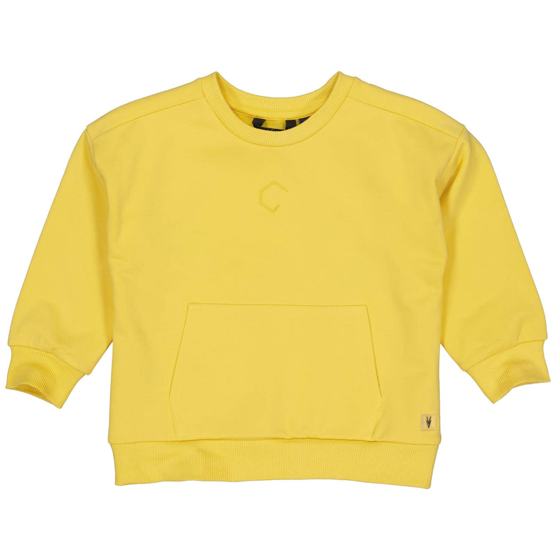 Jongens Sweater PAVOLLW243 van Little Levv in de kleur Soft Yellow in maat 128.
