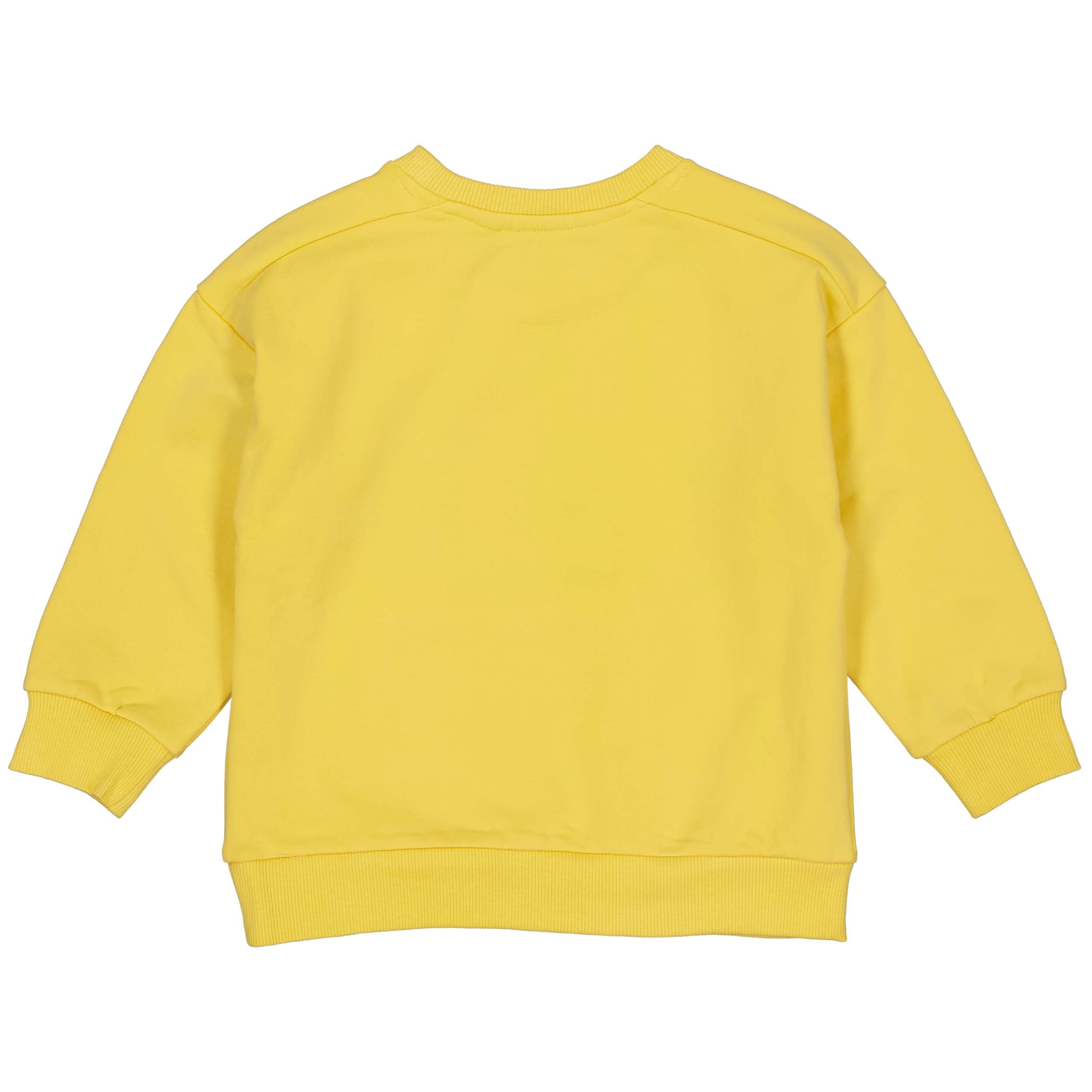 Jongens Sweater PAVOLLW243 van Little Levv in de kleur Soft Yellow in maat 128.