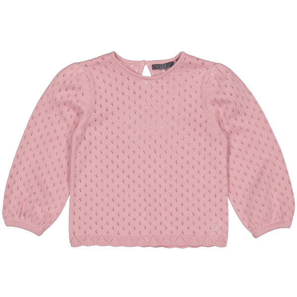 Meisjes Sweater PIETSKELW243 van Little Levv in de kleur Old Pink in maat 128.