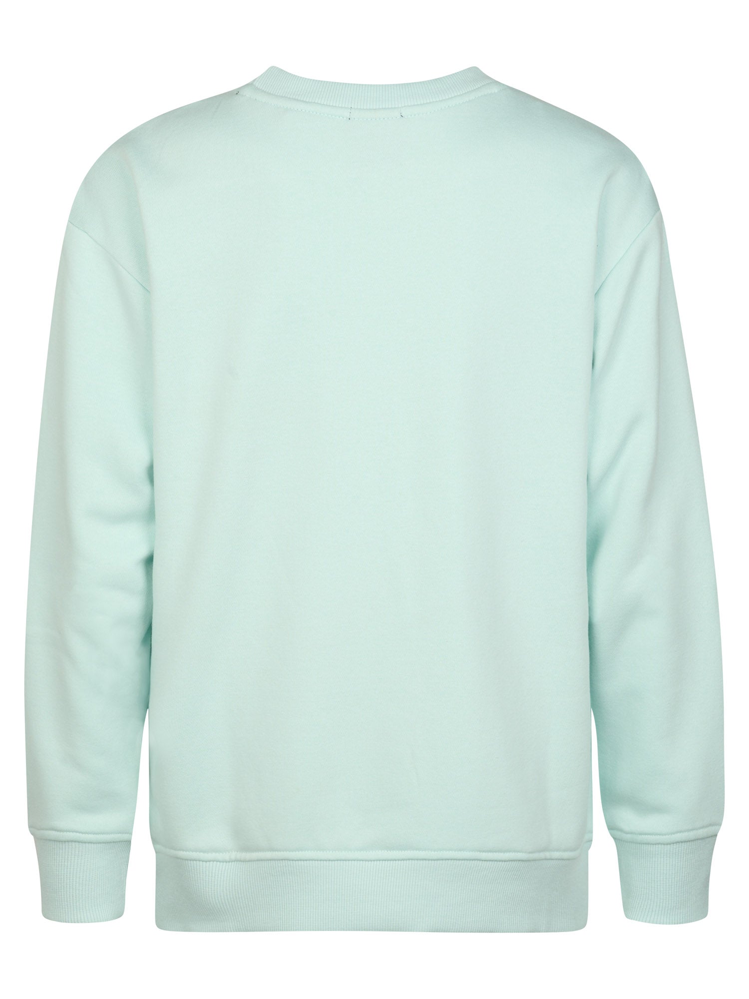 Jongens Sweater Round Neck van Petrol in de kleur Cool Mint in maat 176.