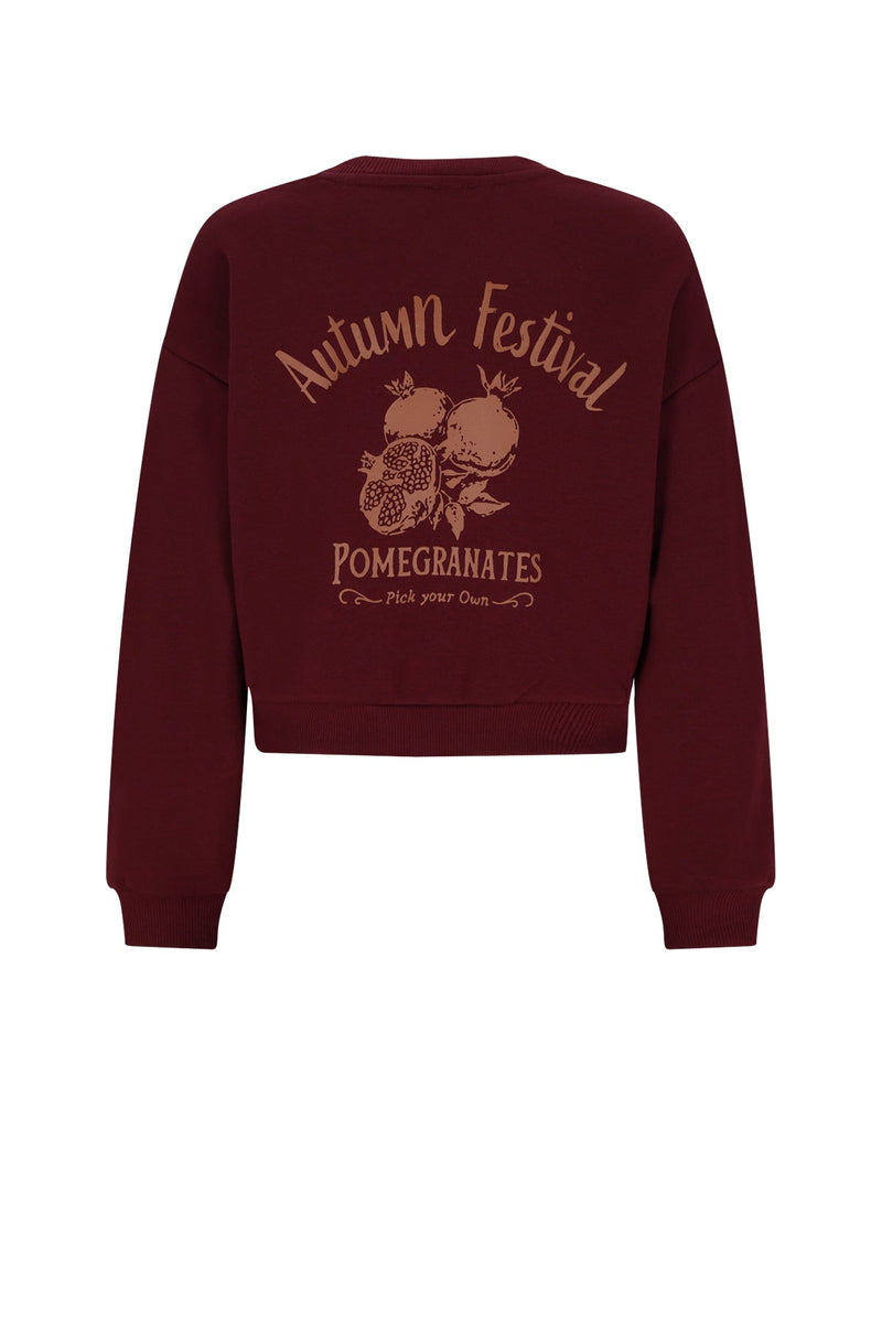 Meisjes Kim Super Soft Sweater Autumn Festival van NoBell in de kleur Dark Bordeaux in maat 170-176.