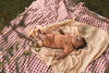 Unisexs SHIRT GABOR van Quapi Newborn in de kleur Rust in maat 74.