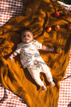 Jongens PANTS GIO van Quapi Newborn in de kleur Sand in maat 74.
