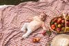 Meisjes PANTS GRACE van Quapi Newborn in de kleur AOP White Sketch in maat 74.