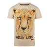 Jongens T-shirt ss van Koko Noko in de kleur  Off white in maat 128.