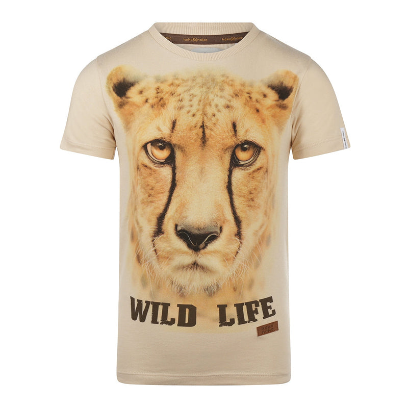 Jongens T-shirt ss van Koko Noko in de kleur  Off white in maat 128.