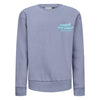 Jongens Crewneck sweater Kelto van RETOUR in de kleur grey violet/ corn flower in maat 182-188.