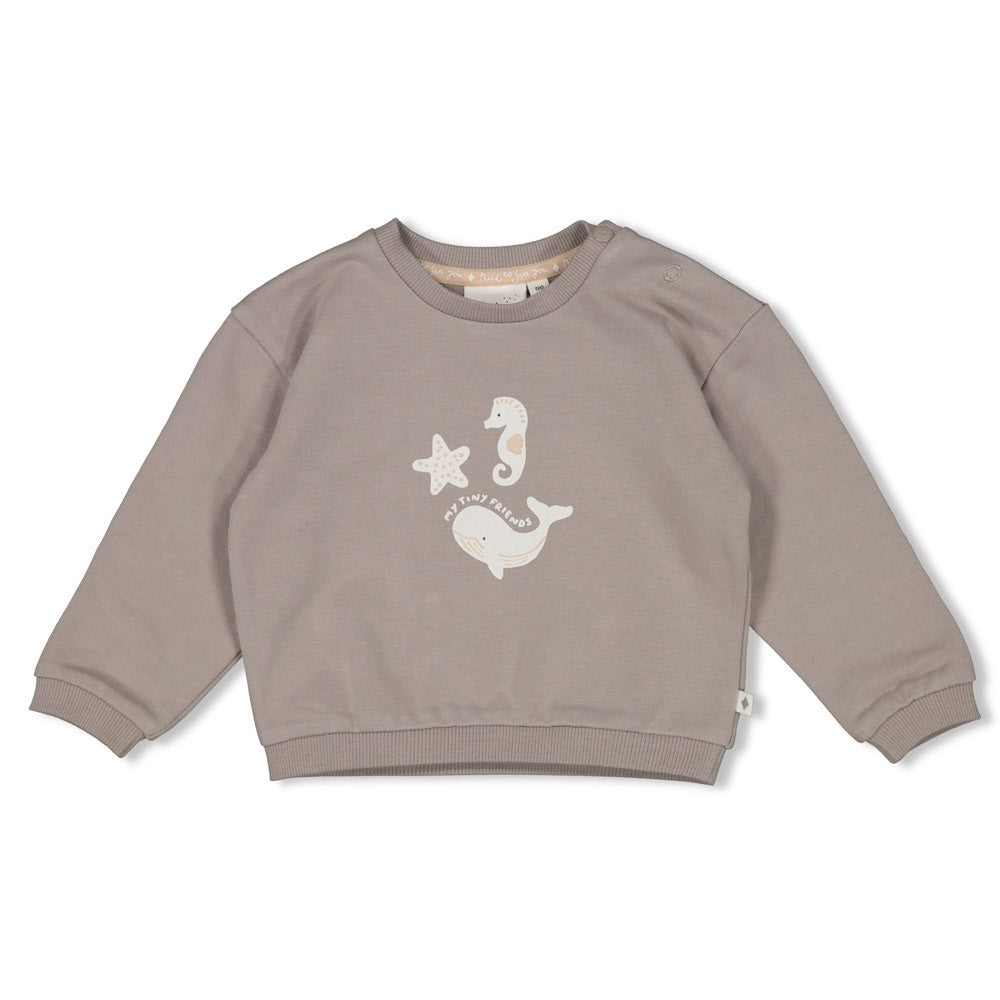 Unisexs Sweater oversized - Sea Sweeties van Feetje in de kleur Grijs in maat 62.