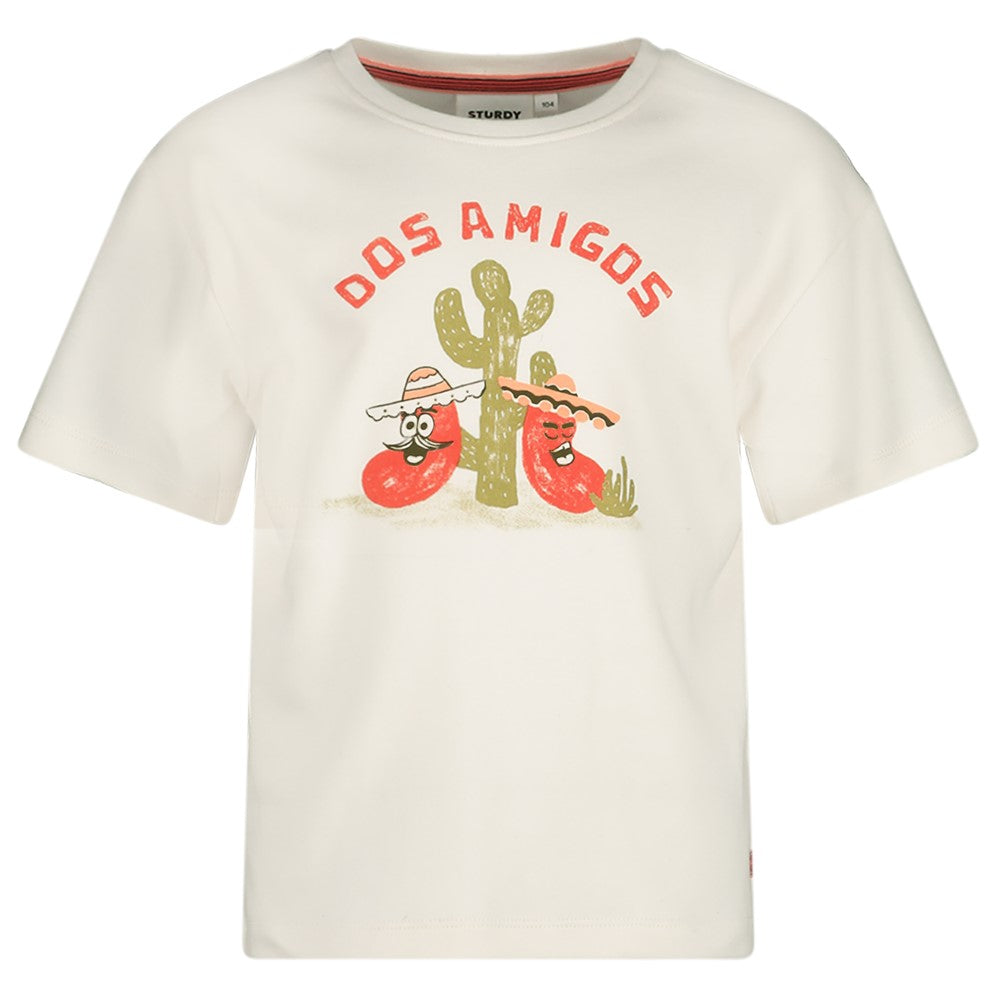 Sturdy T-shirt oversized - Desert Fiesta