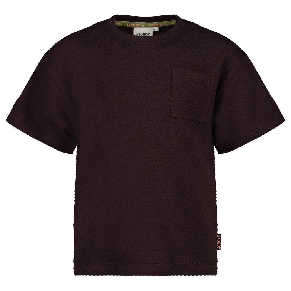 Sturdy T-shirt oversized - Desert Fiesta