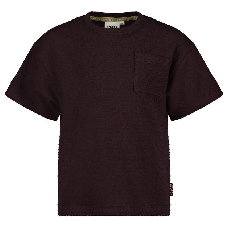 Jongens T-shirt oversized - Desert Fiesta van Sturdy in de kleur d.Bruin in maat 128.