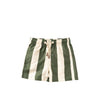 Salted Stories Wide Stripe | Swim Shorts