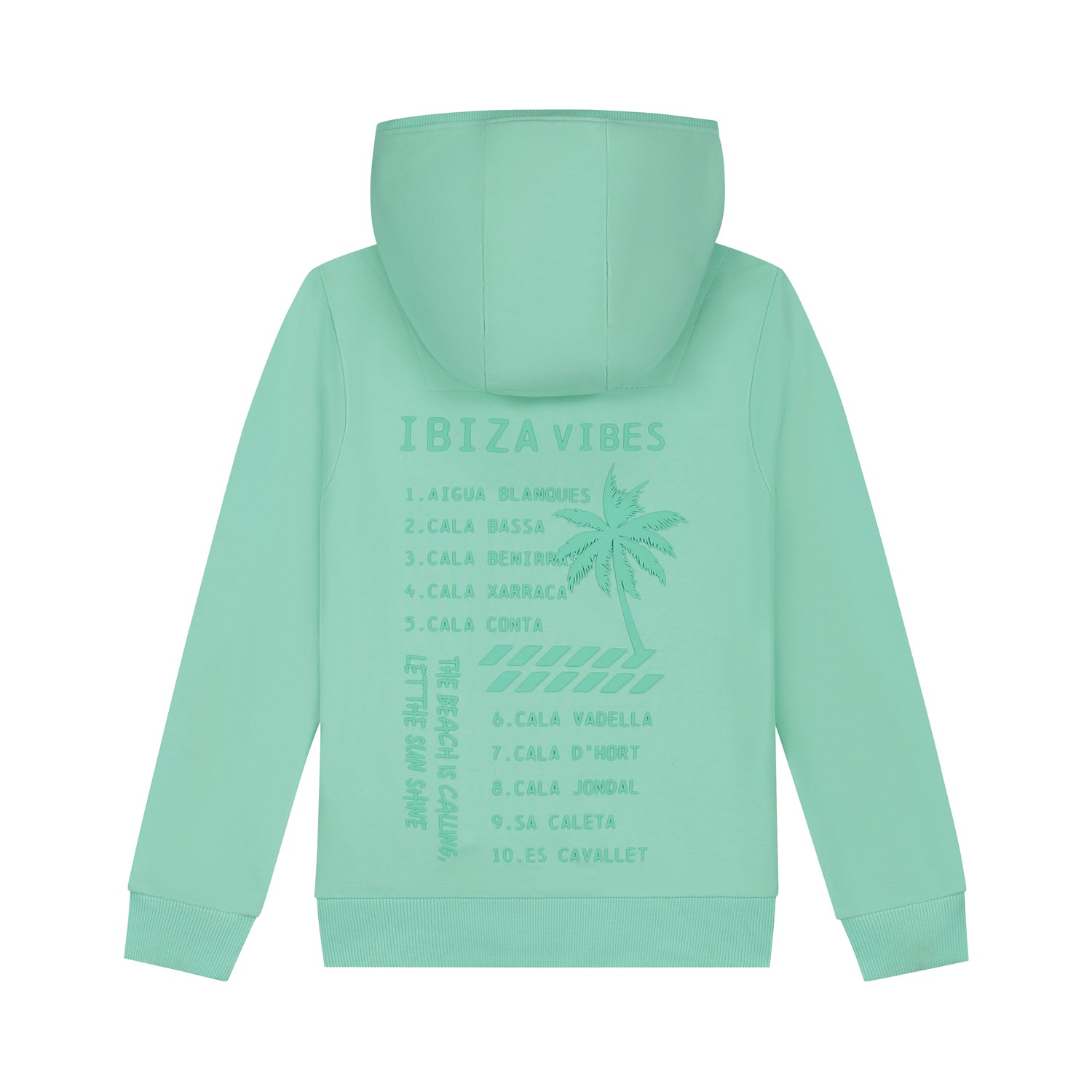Jongens Hoodie Sal van Skurk in de kleur Mint in maat 170.
