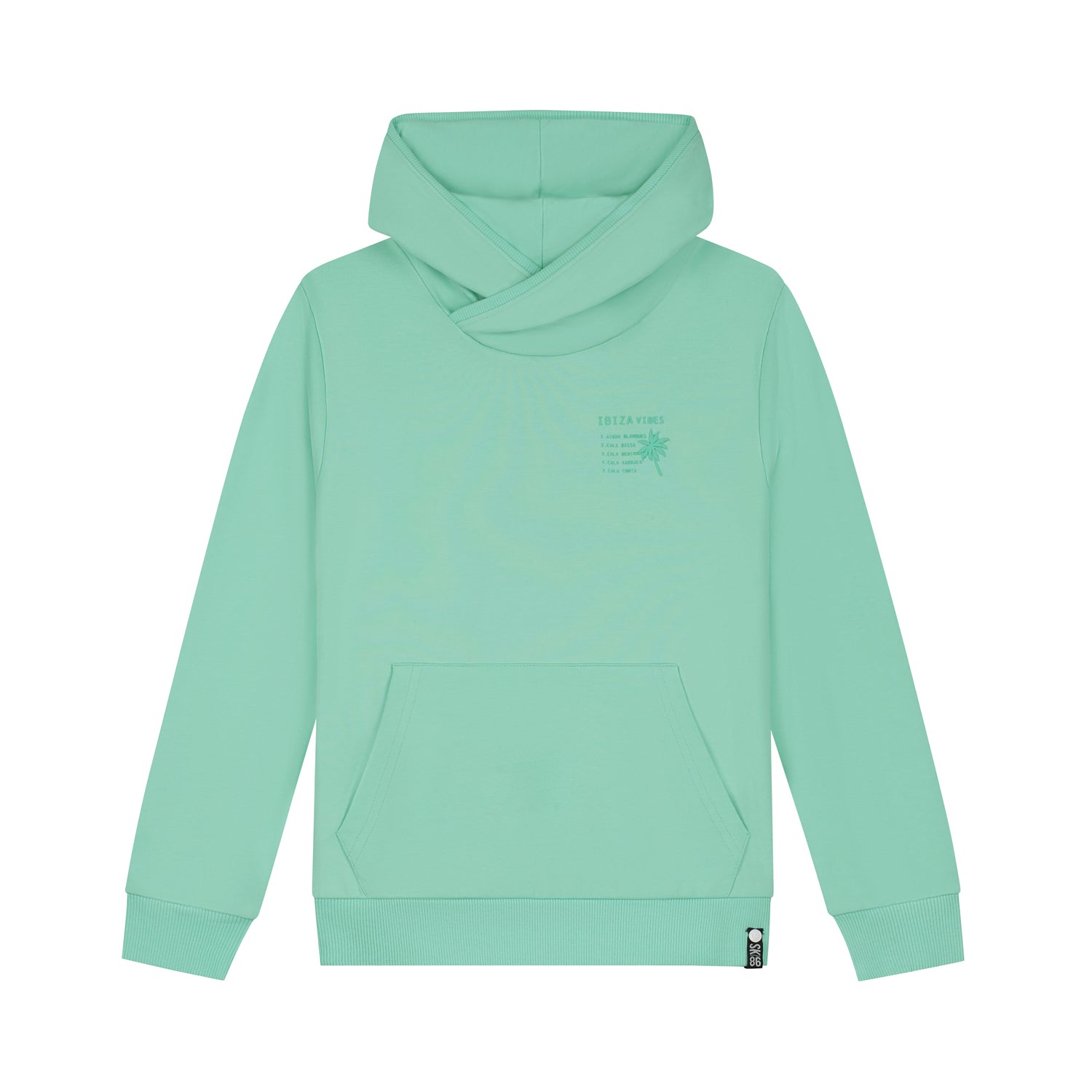 Jongens Hoodie Sal van Skurk in de kleur Mint in maat 170.