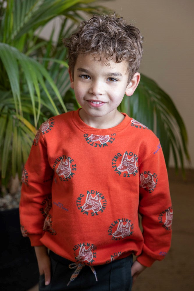 Sturdy Sweater AOP - Chasing Trails