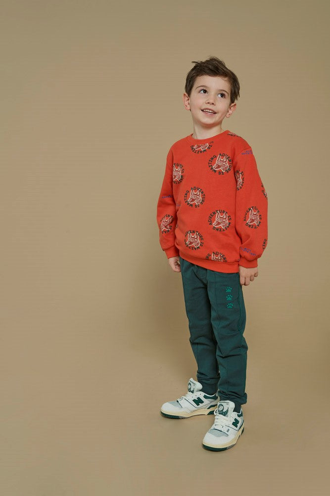 Sturdy Broek - Chasing Trails