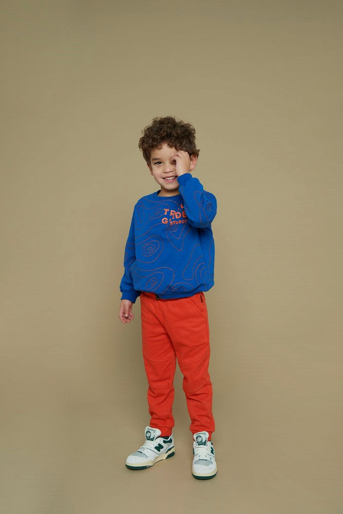 Sturdy Sweater AOP - Chasing Trails