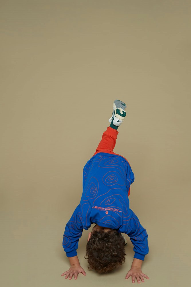 Sturdy Sweater AOP - Chasing Trails