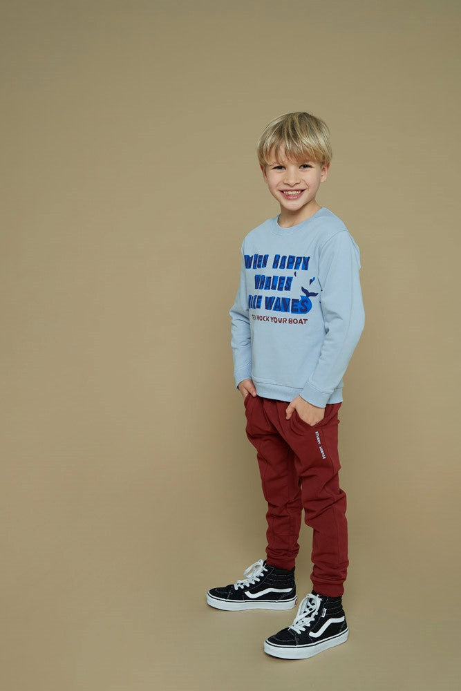 Sturdy Sweater - Waves and Whales