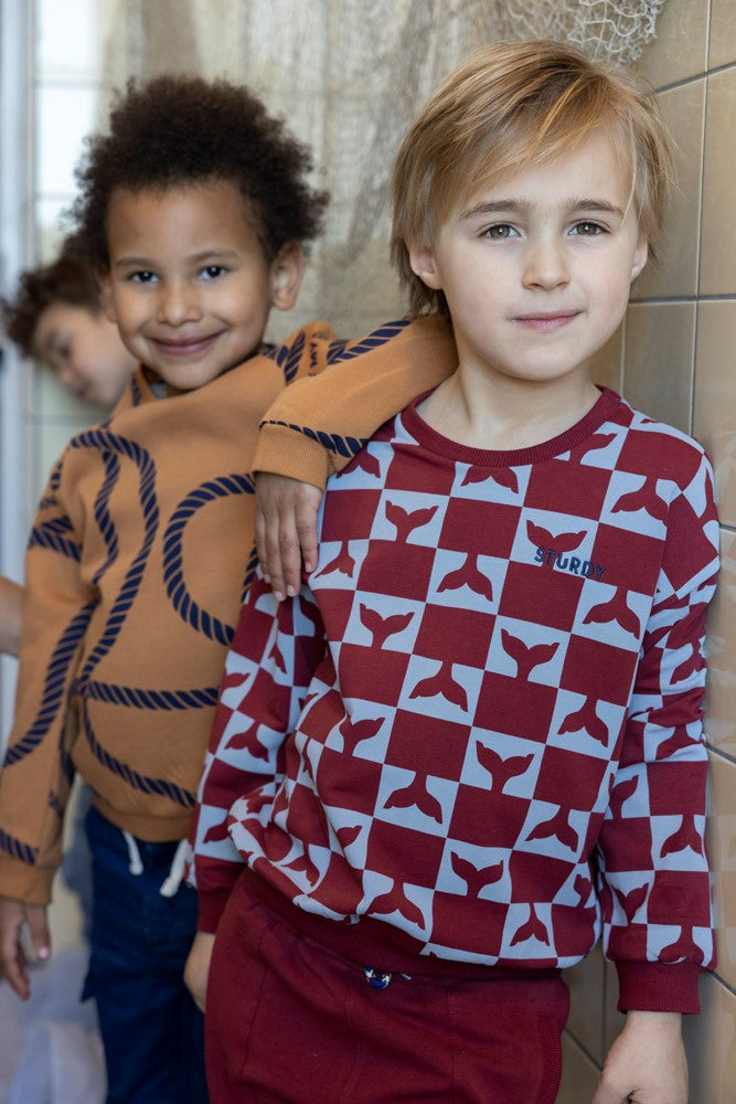 Sturdy Sweater AOP - Waves and Whales