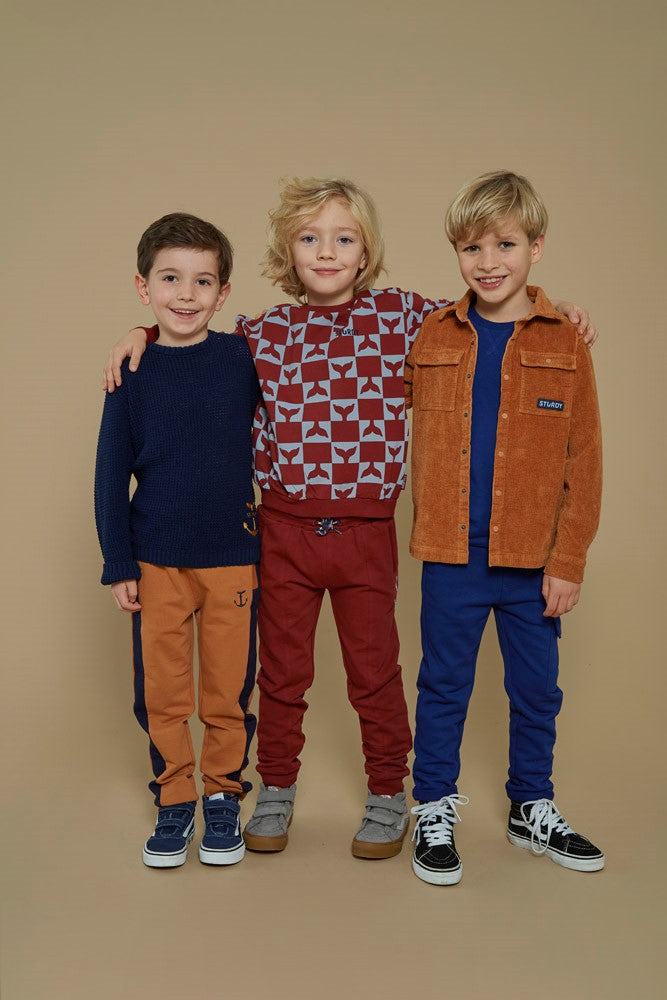 Sturdy Overhemd corduroy - Waves and Whales